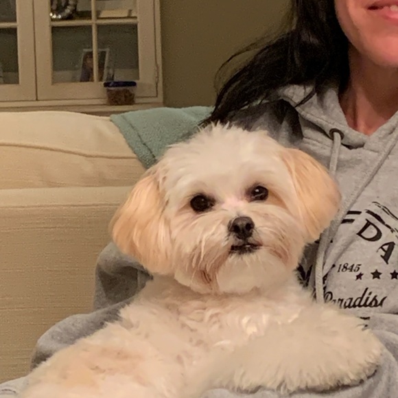 Meet your Posher, Maria - Picture 3 of 3